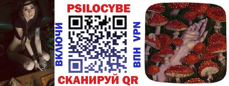 Купить закладки  Кировск  Галлюциногенные грибы Magic Shrooms 